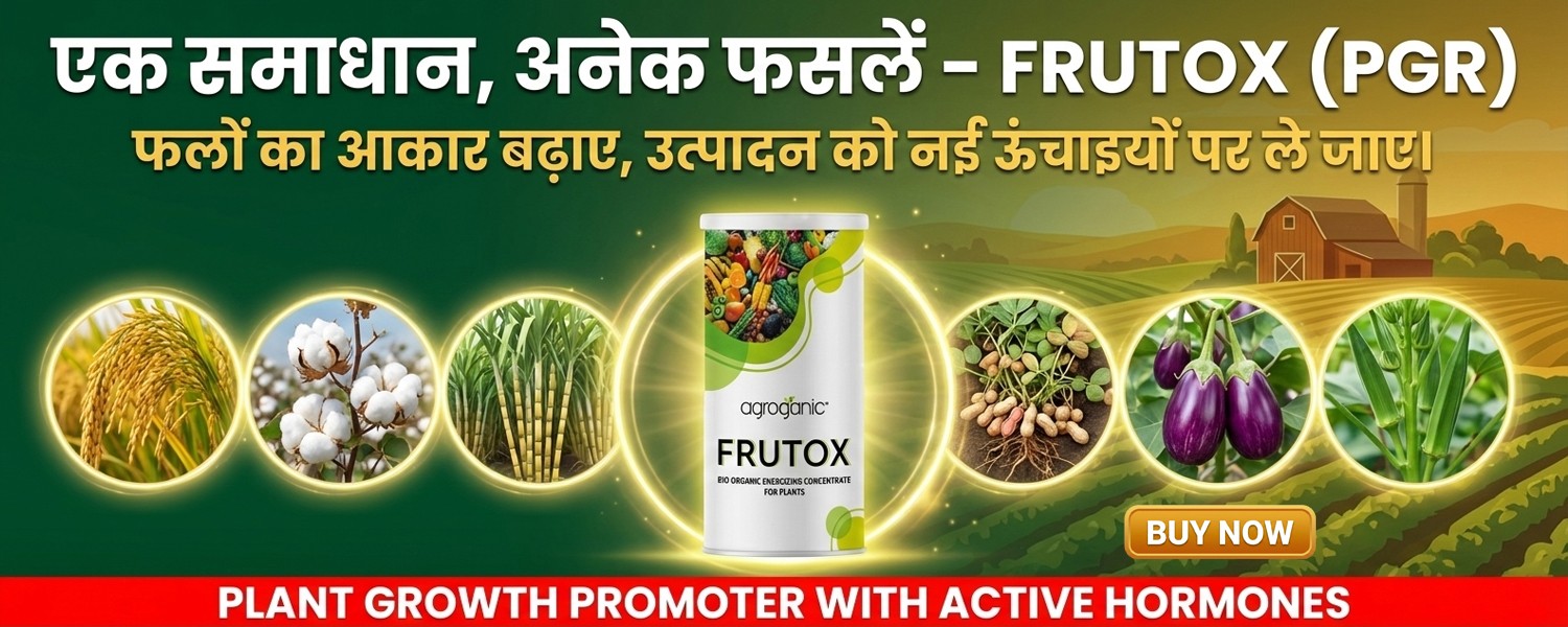 Khushali Kisan Sewa-Agriculture Assistance from Farm-to-Market promo